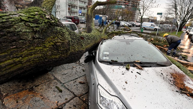 Połamane drzewa, przygniecione samochody. Skutki wichury w Szczecinie