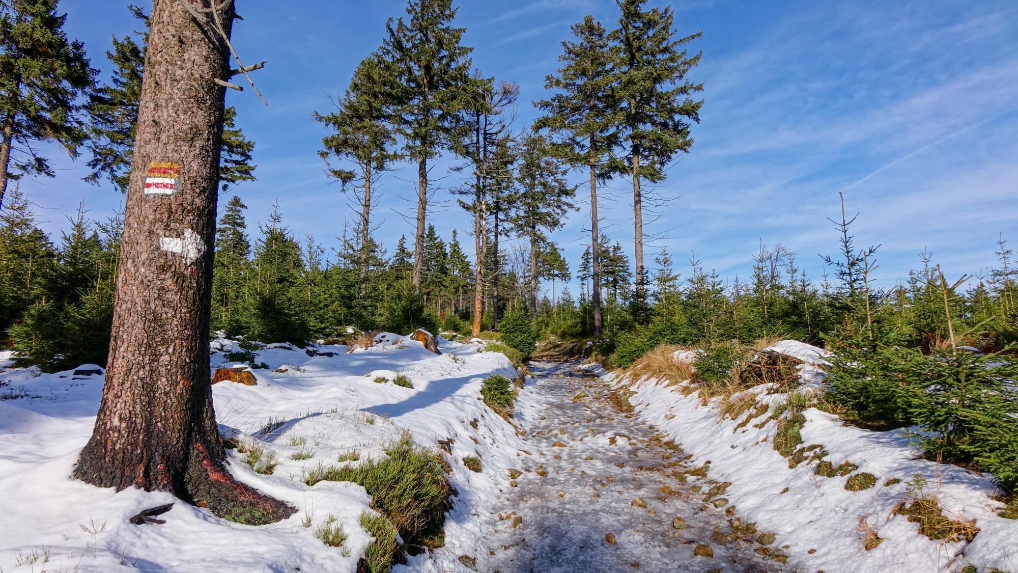 Odkryj piękno Polski w wakacje - zdjęcie 12