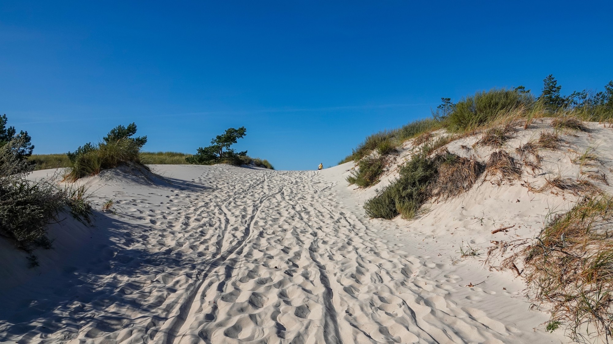 100 najpiękniejszych zdjęć 2021 roku - zdjęcie 38