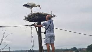 28-03-2026 04:59 Myślał, że uratował pisklę, ale prawda okazała się okrutna