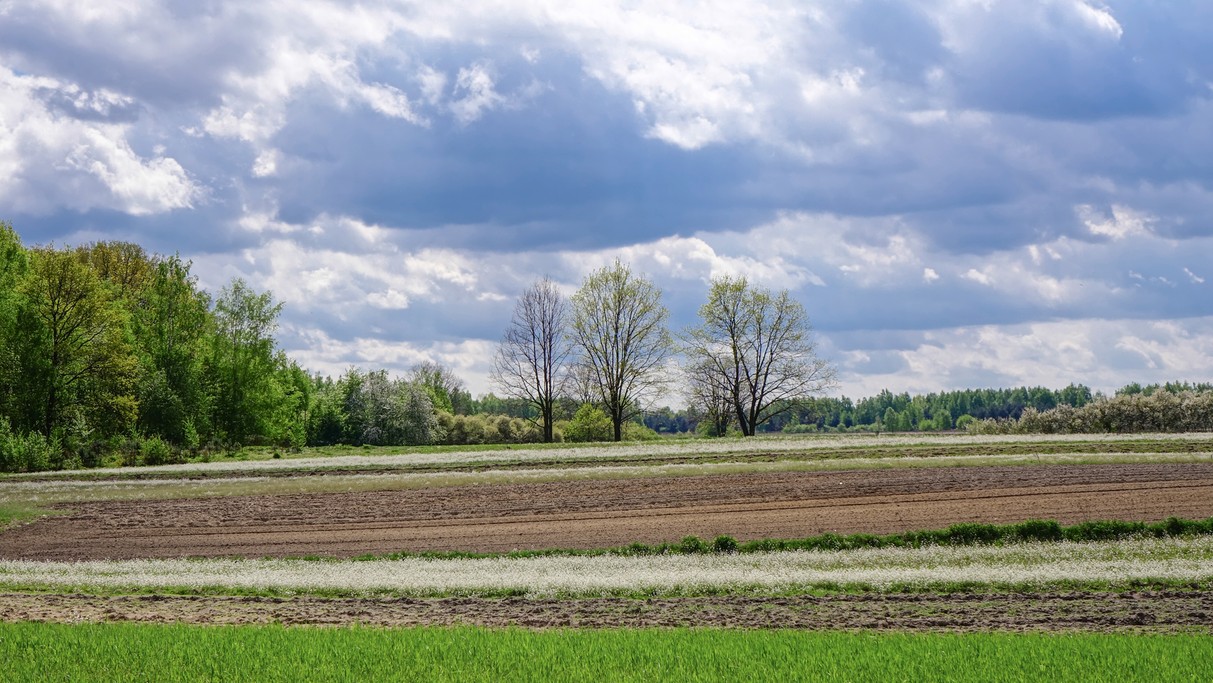 Kwiecień w obiektywie - zdjęcie 35