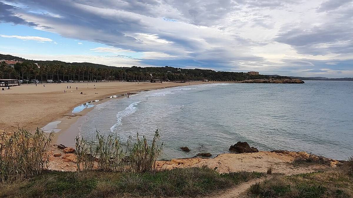 Beach cleaning machine kills sleeping homeless man in Tarragona