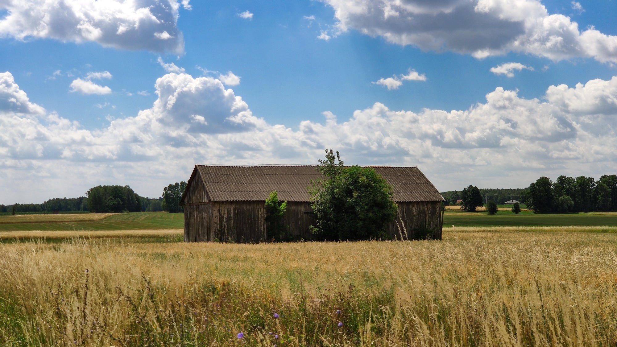 Lipiec w obiektywie - zdjęcie 15