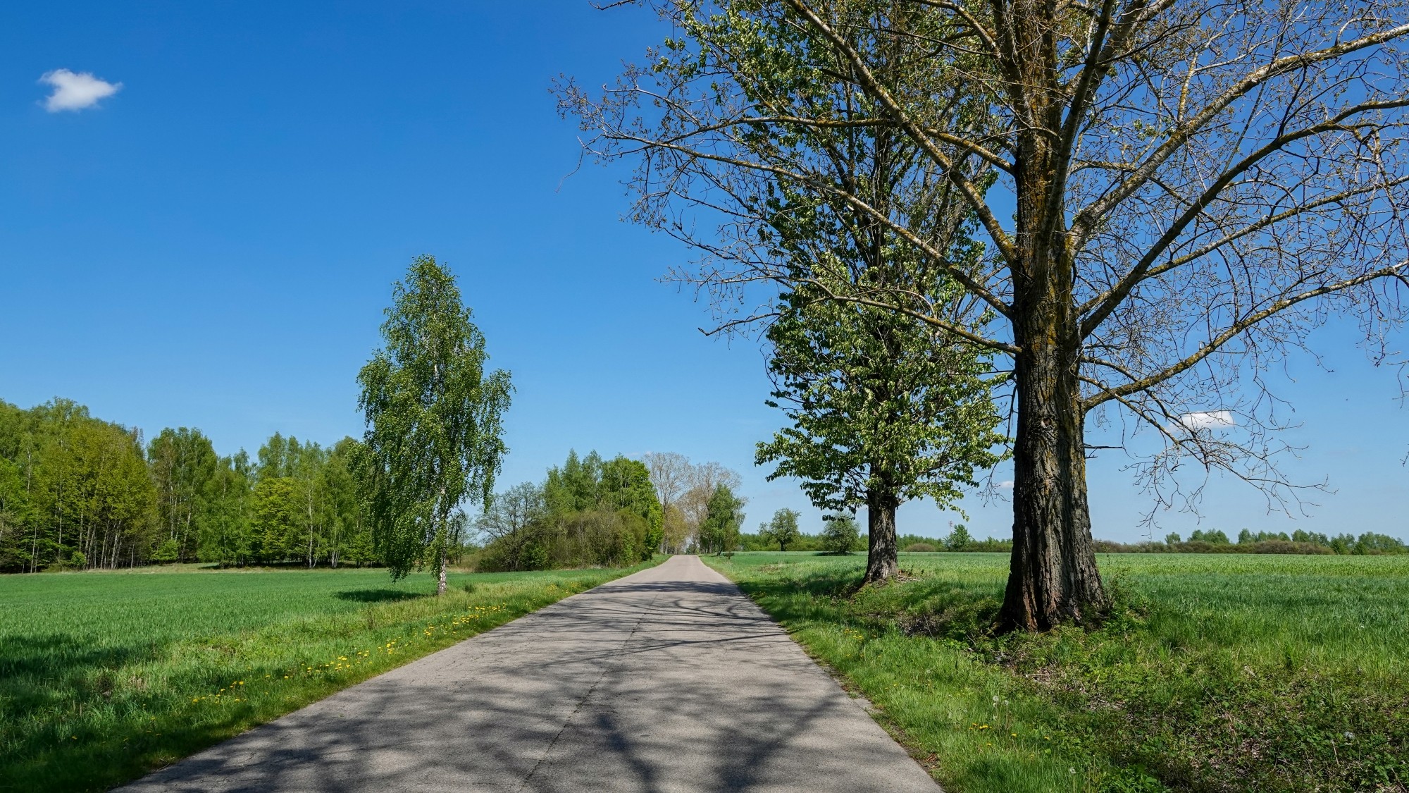 Uroki zielonej pory roku - zdjęcie 10
