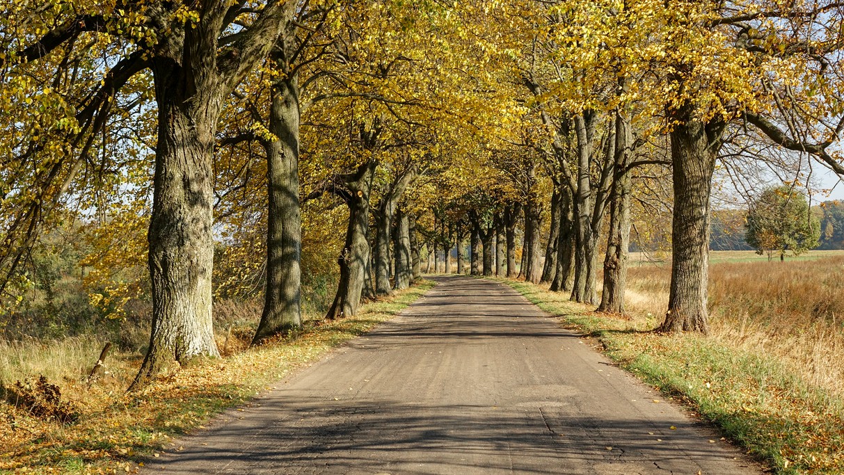 Barwy jesieni - zdjęcie 22