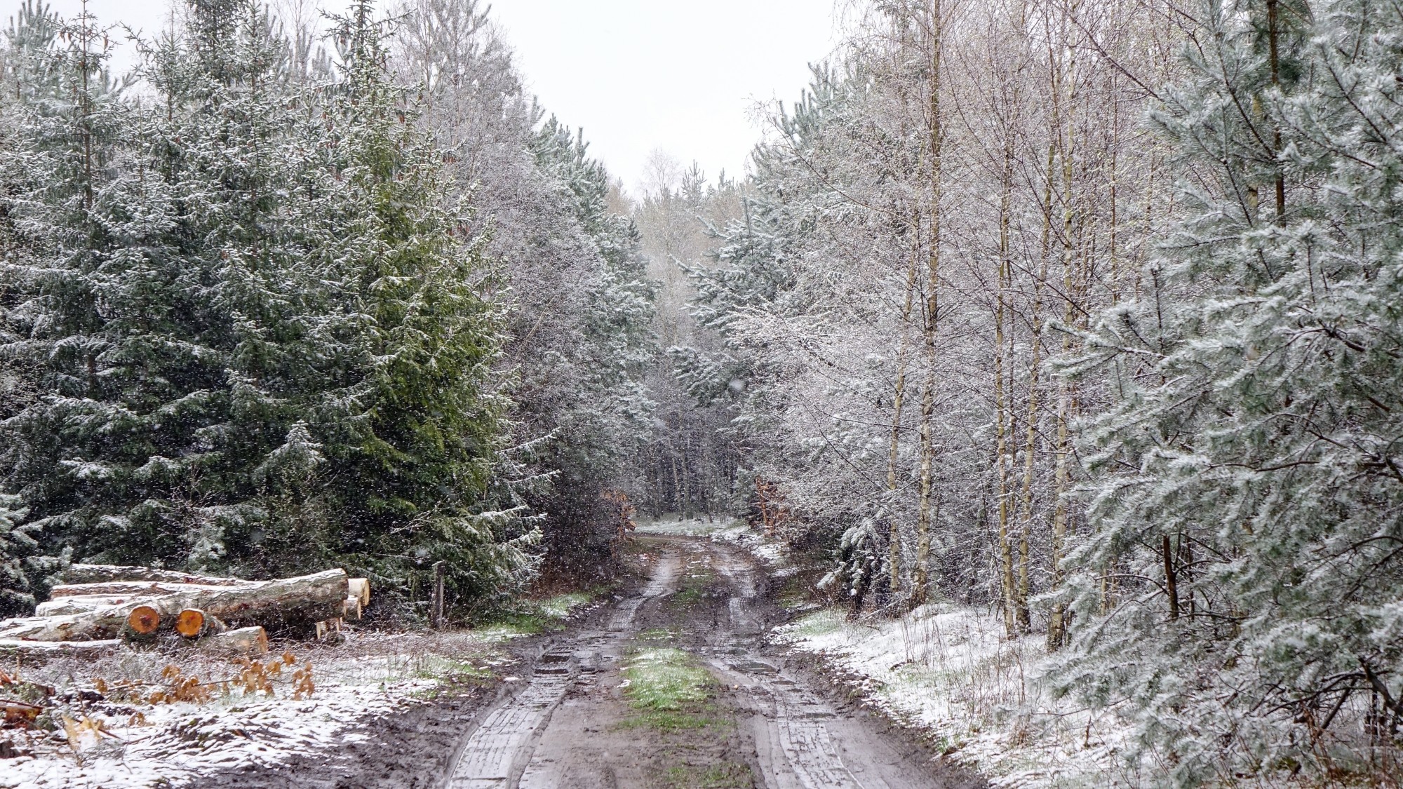 Zima w maju - zdjęcie 14