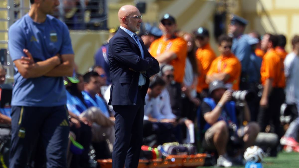 De la Fuente after World Cup final: Spain should have scored earlier