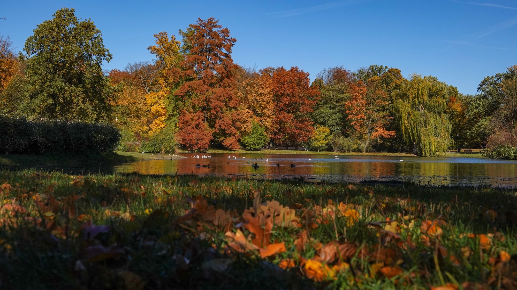 100 najpiękniejszych zdjęć 2021 roku - zdjęcie 19