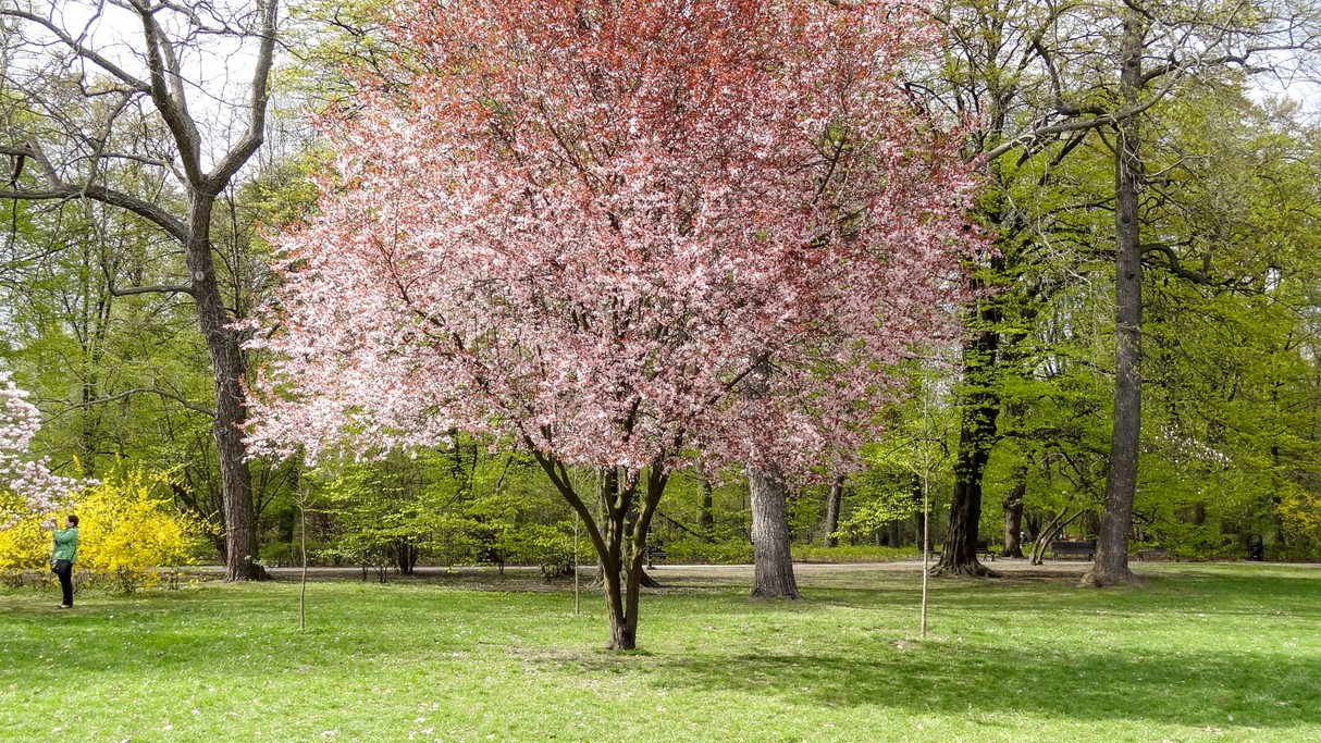 Powiewy wiosny - zdjęcie 11