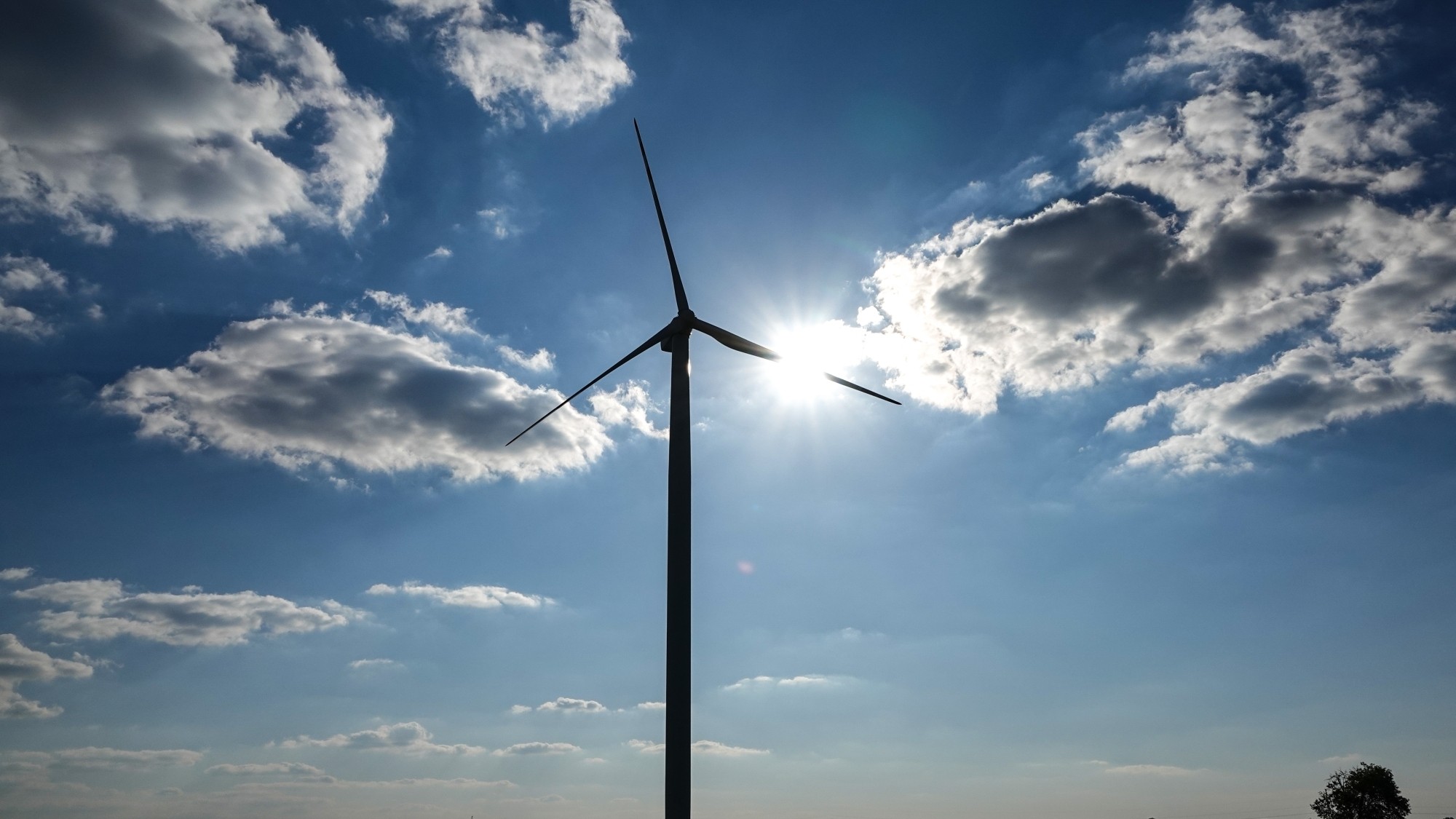 Uroki zielonej pory roku - zdjęcie 17