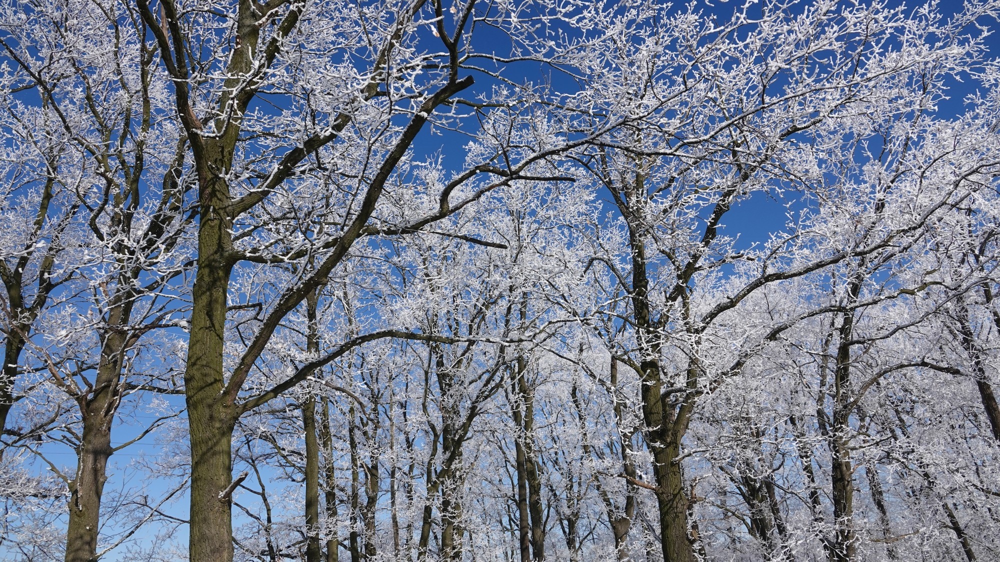 100 najpiękniejszych zdjęć 2021 roku - zdjęcie 27