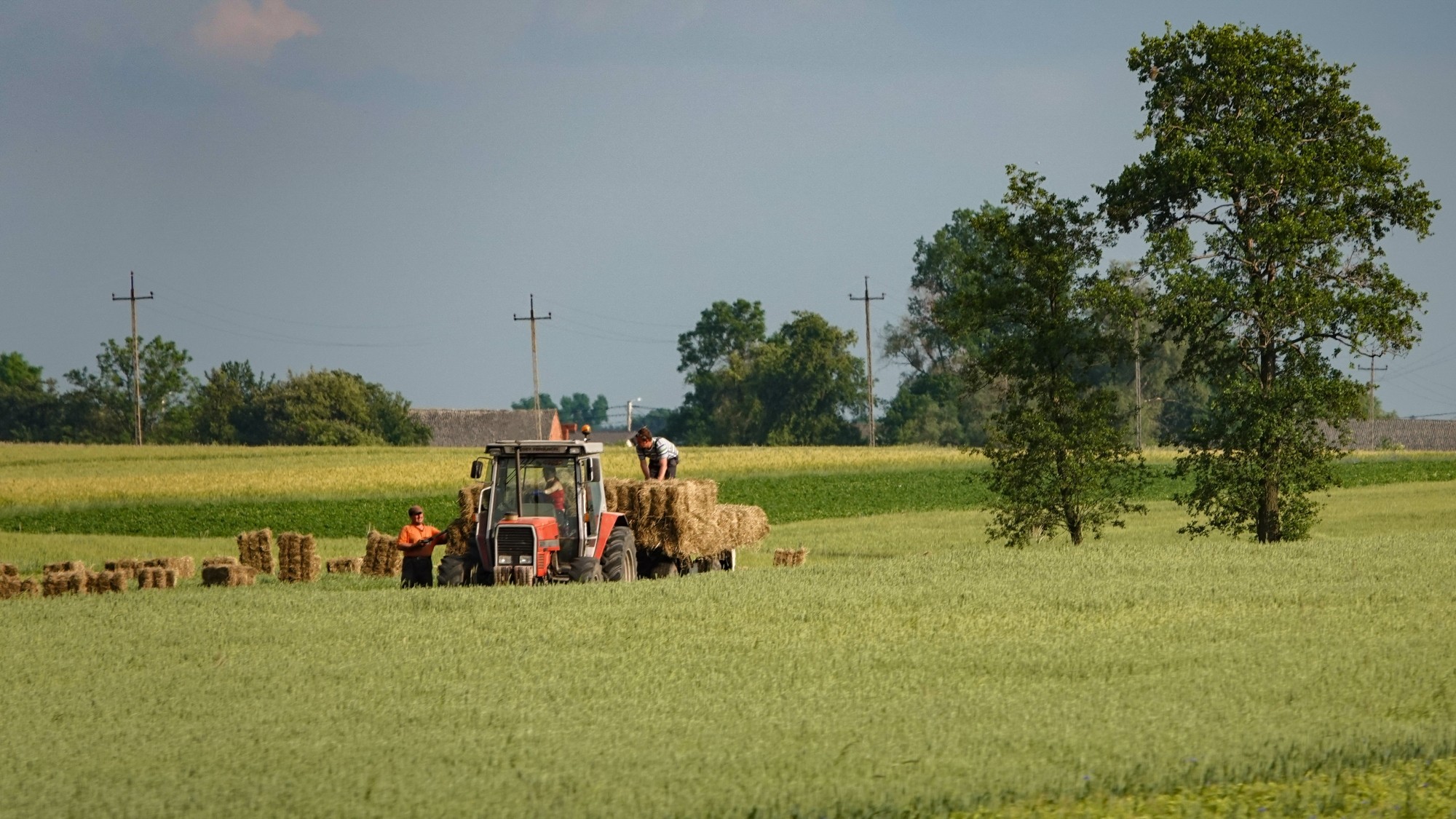 Wakacje minionych lat - zdjęcie 30