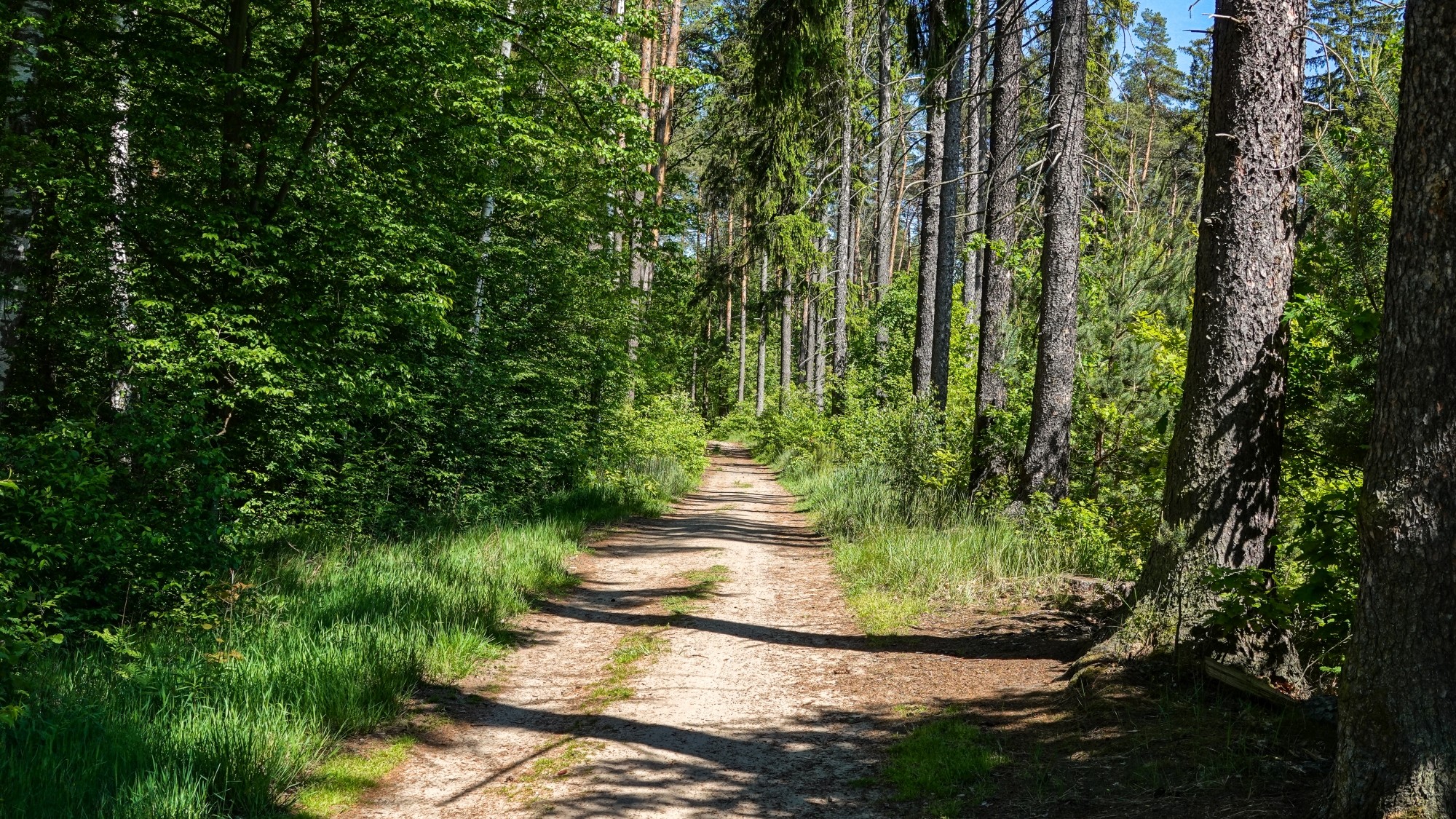 Uroki zielonej pory roku - zdjęcie 59