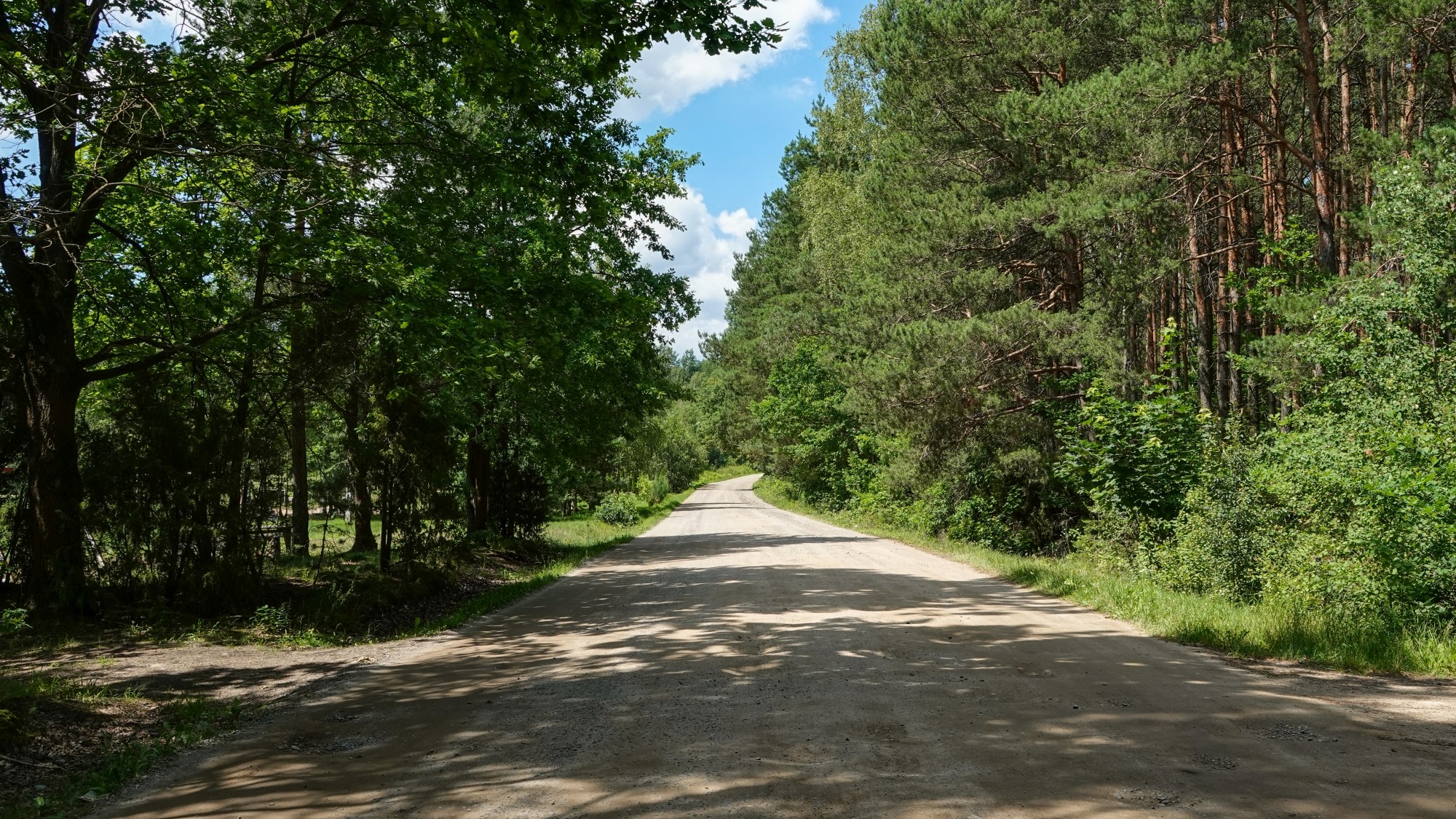 Środek lata w plenerze - zdjęcie 39