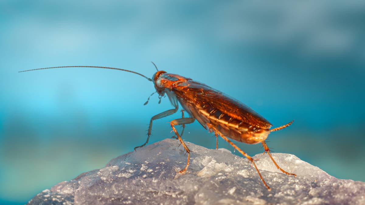 Fot. Erik Kartis / Unsplash