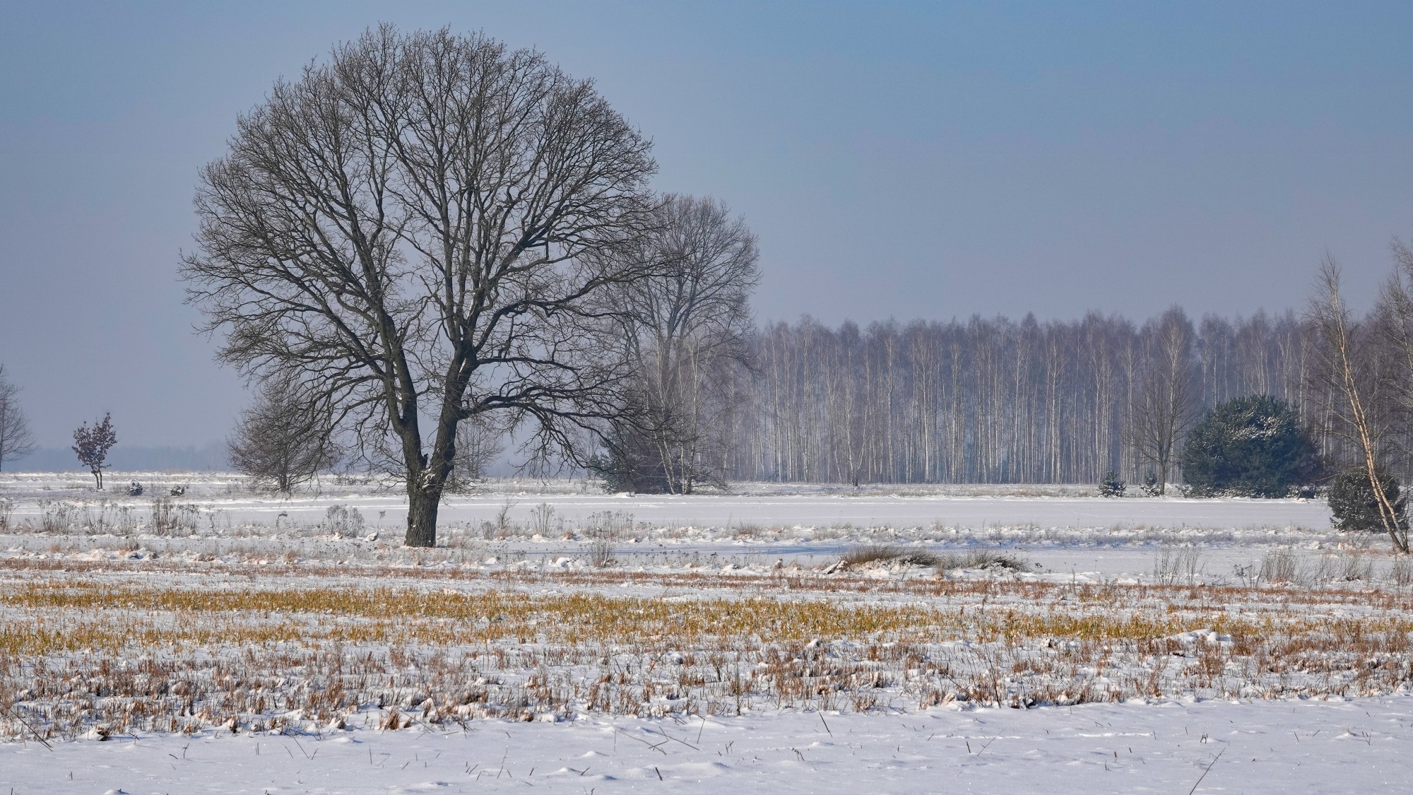 100 najpiękniejszych zdjęć 2021 roku - zdjęcie 17