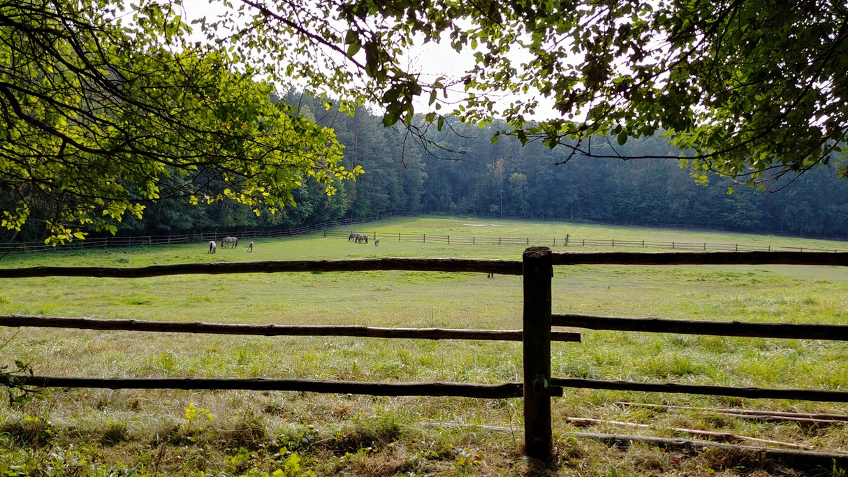 Uroki końca lata - zdjęcie 37