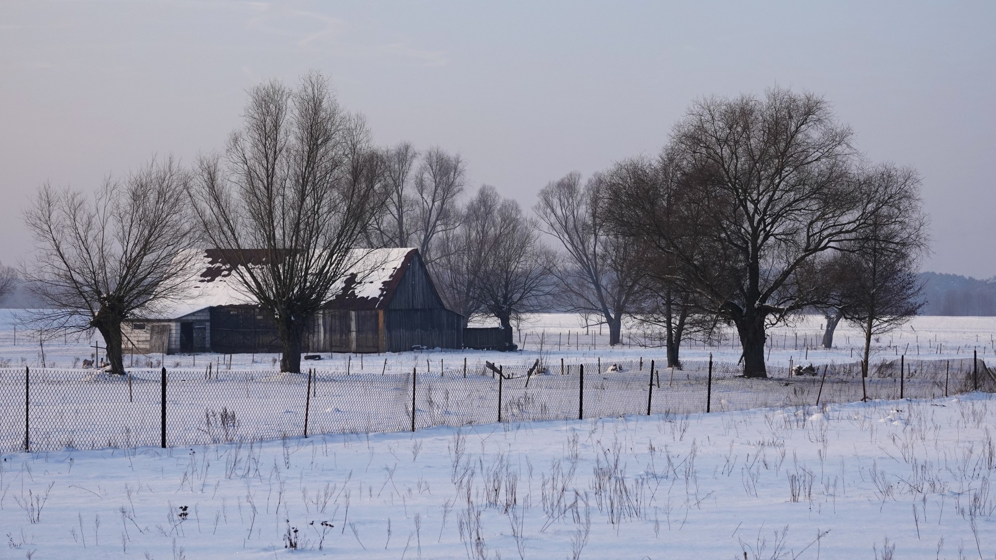 Na lodowym szlaku - zdjęcie 60