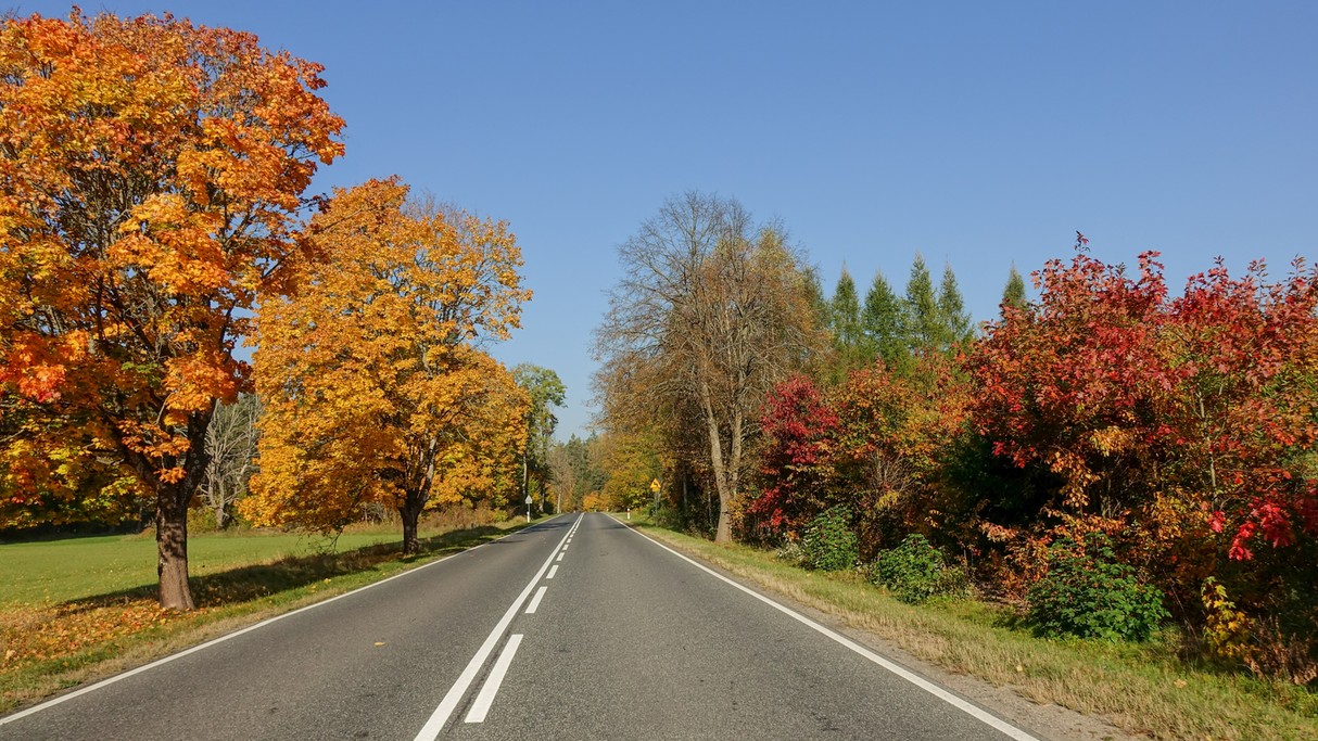 Barwy jesieni - zdjęcie 18