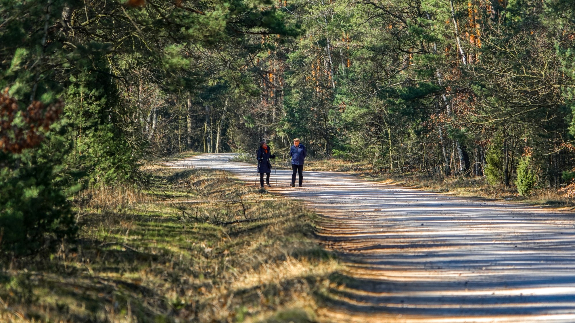Marzec w obiektywie - zdjęcie 43