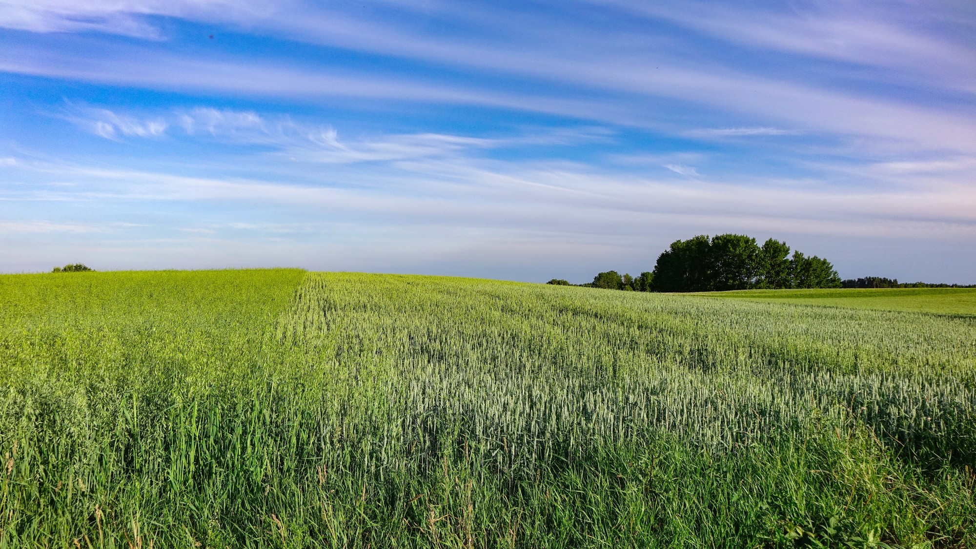 100 najpiękniejszych zdjęć 2021 roku - zdjęcie 6