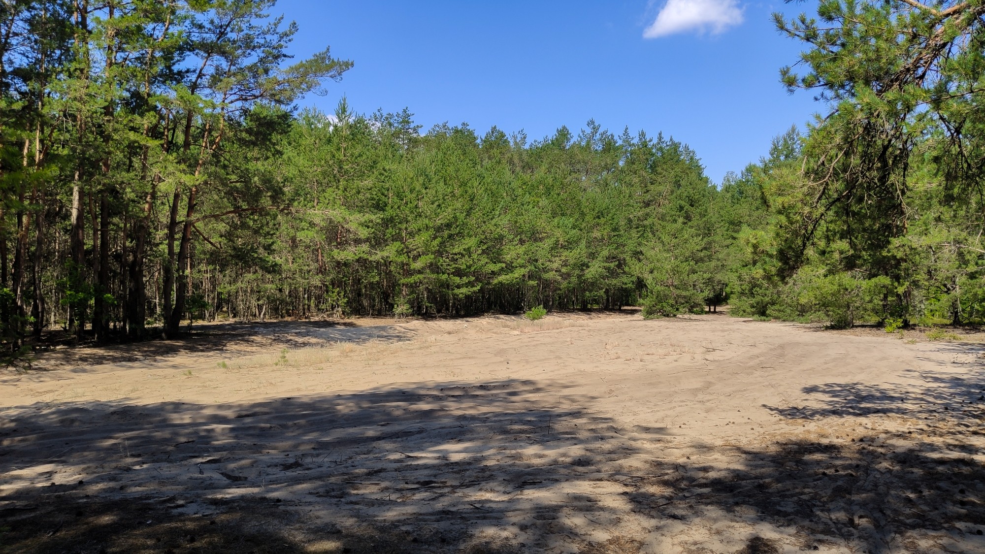 Lipiec w obiektywie - zdjęcie 16