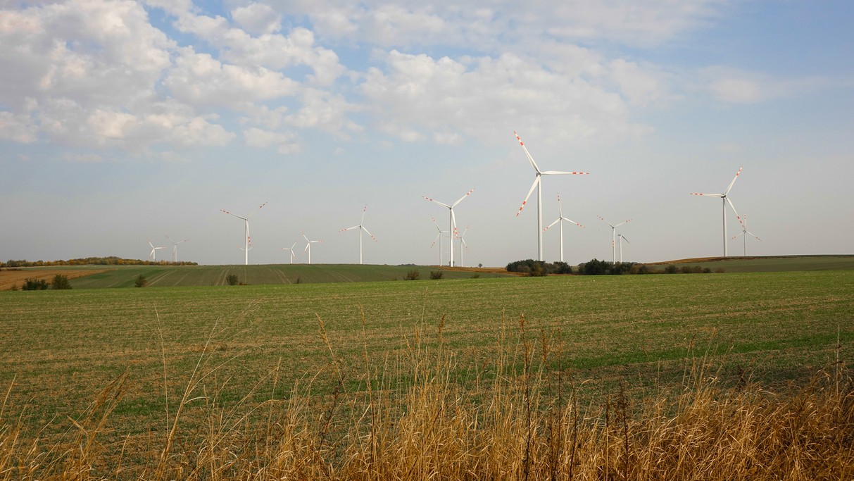 Październik w obiektywie - zdjęcie 23