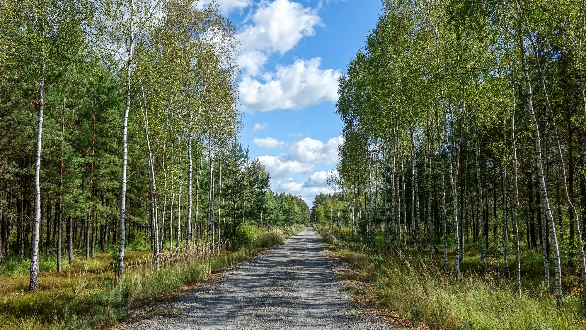 Wrzesień w obiektywie - zdjęcie 32