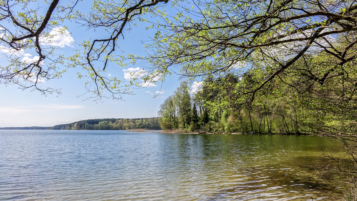 Nad morzem, jeziorami i rzekami - zdjęcie 22
