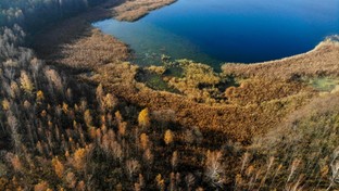 20.10.2019 00:00 Jesień na nizinach z lotu ptaka