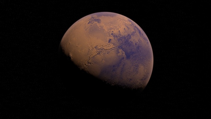 Elon Musk planuje prywatną wyprawę na Marsa