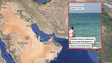 Rekin odciął ludzi od plaży. Przerażające nagranie z Dubaju