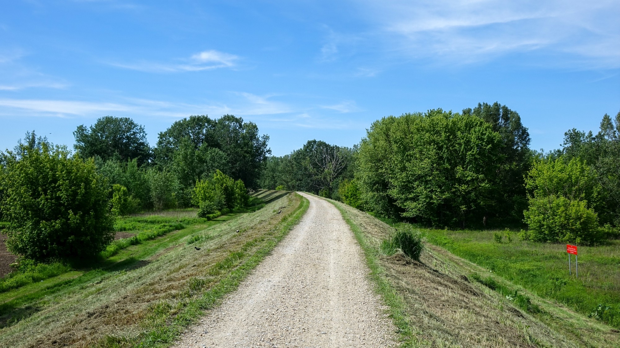 Maj w obiektywie - zdjęcie 41