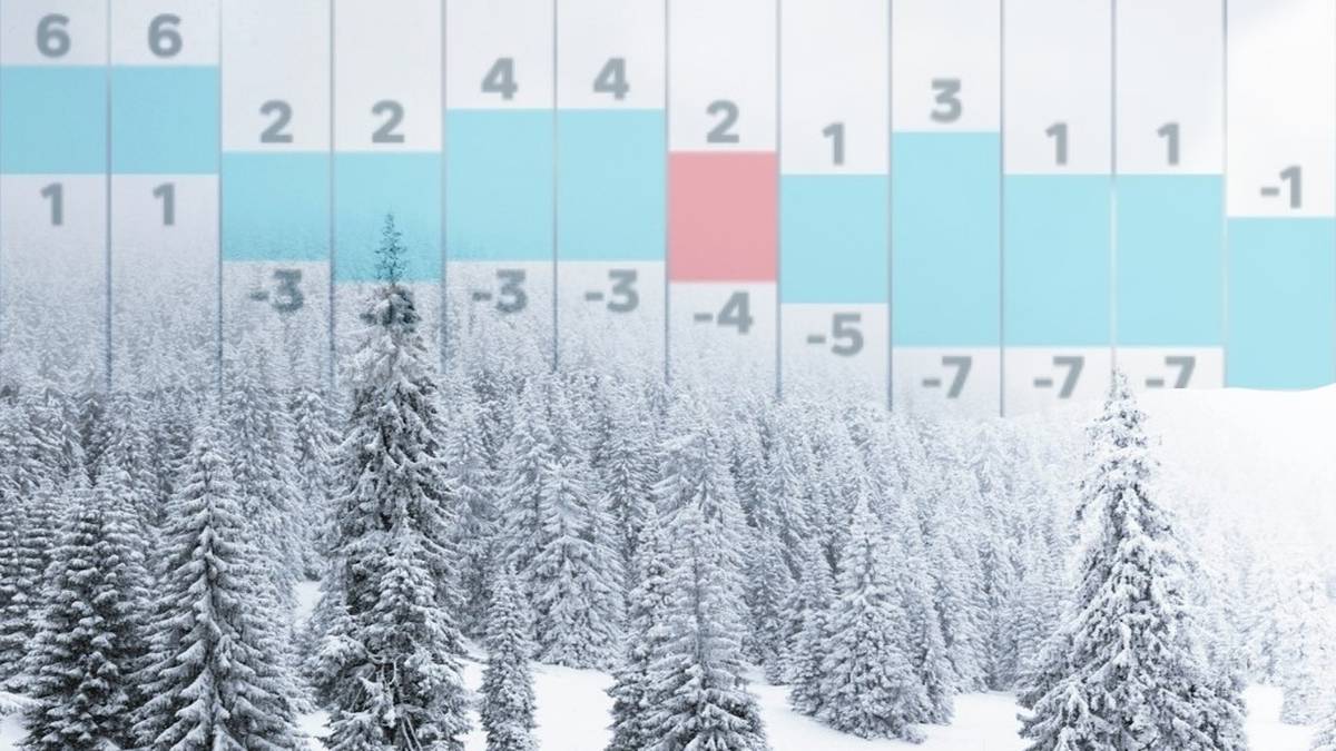 Zimowy krajobraz z ośnieżonymi drzewami, na tle wykres&oacute;w z liczbami wskazującymi temperatury.