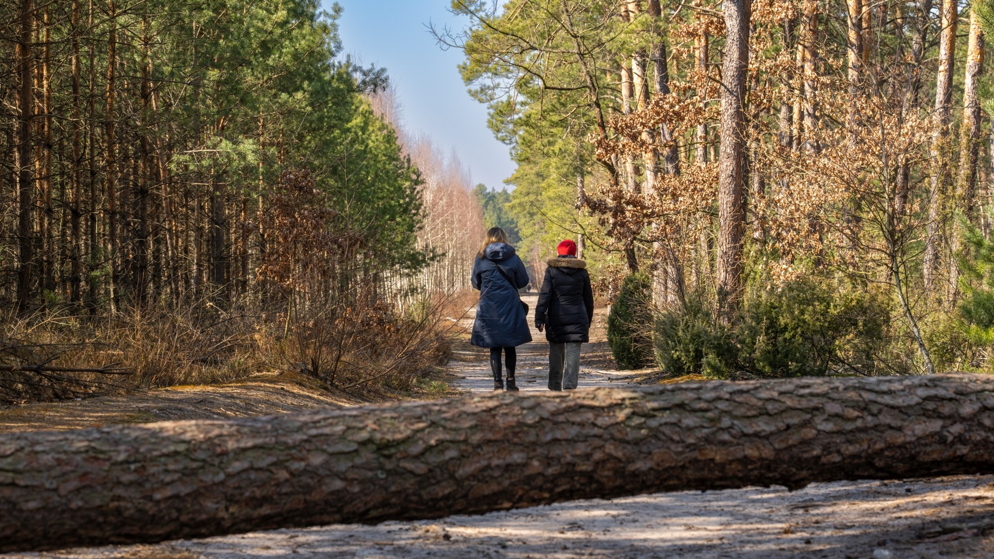 Miejska przyroda - zdjęcie 11
