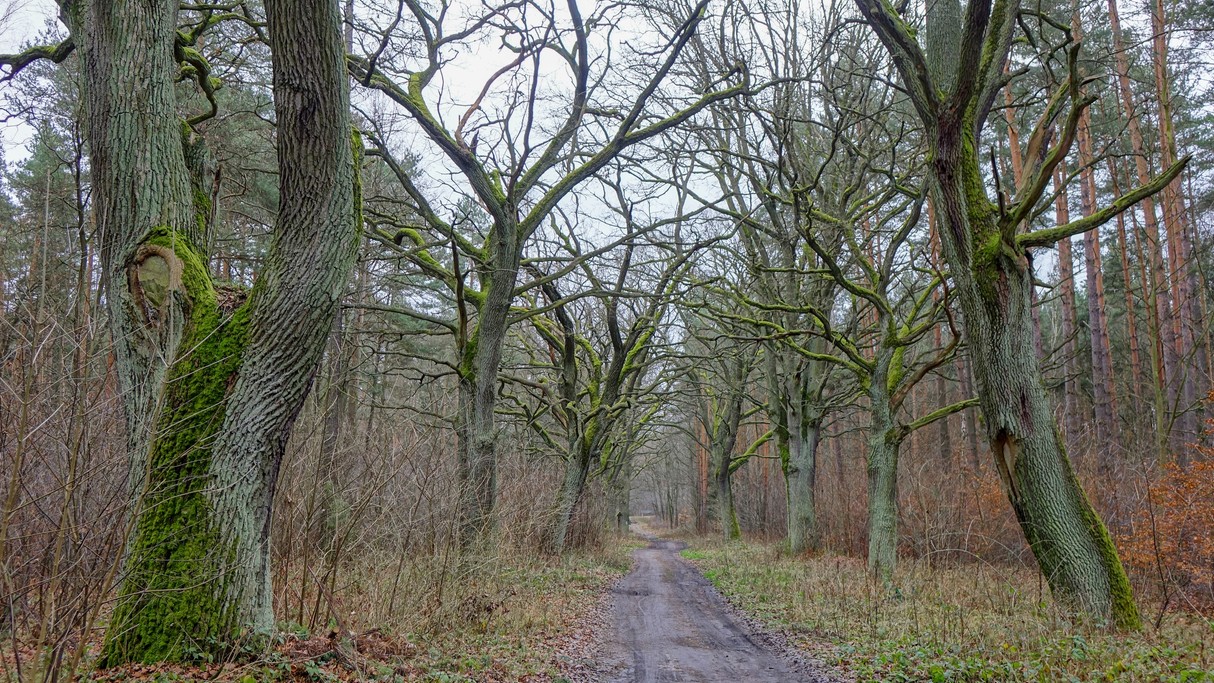 Styczeń w obiektywie - zdjęcie 28