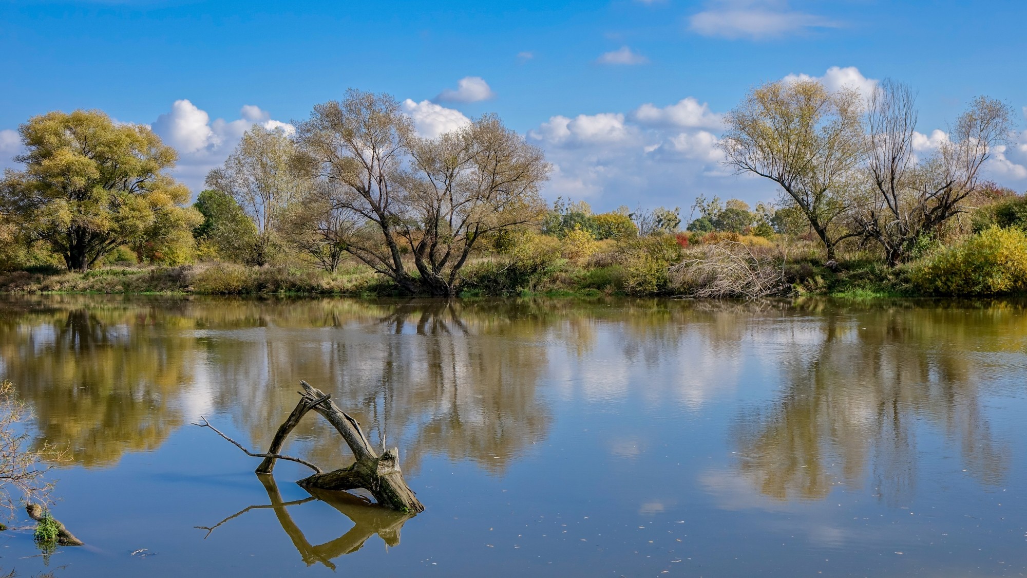 100 najpiękniejszych zdjęć 2021 roku - zdjęcie 46