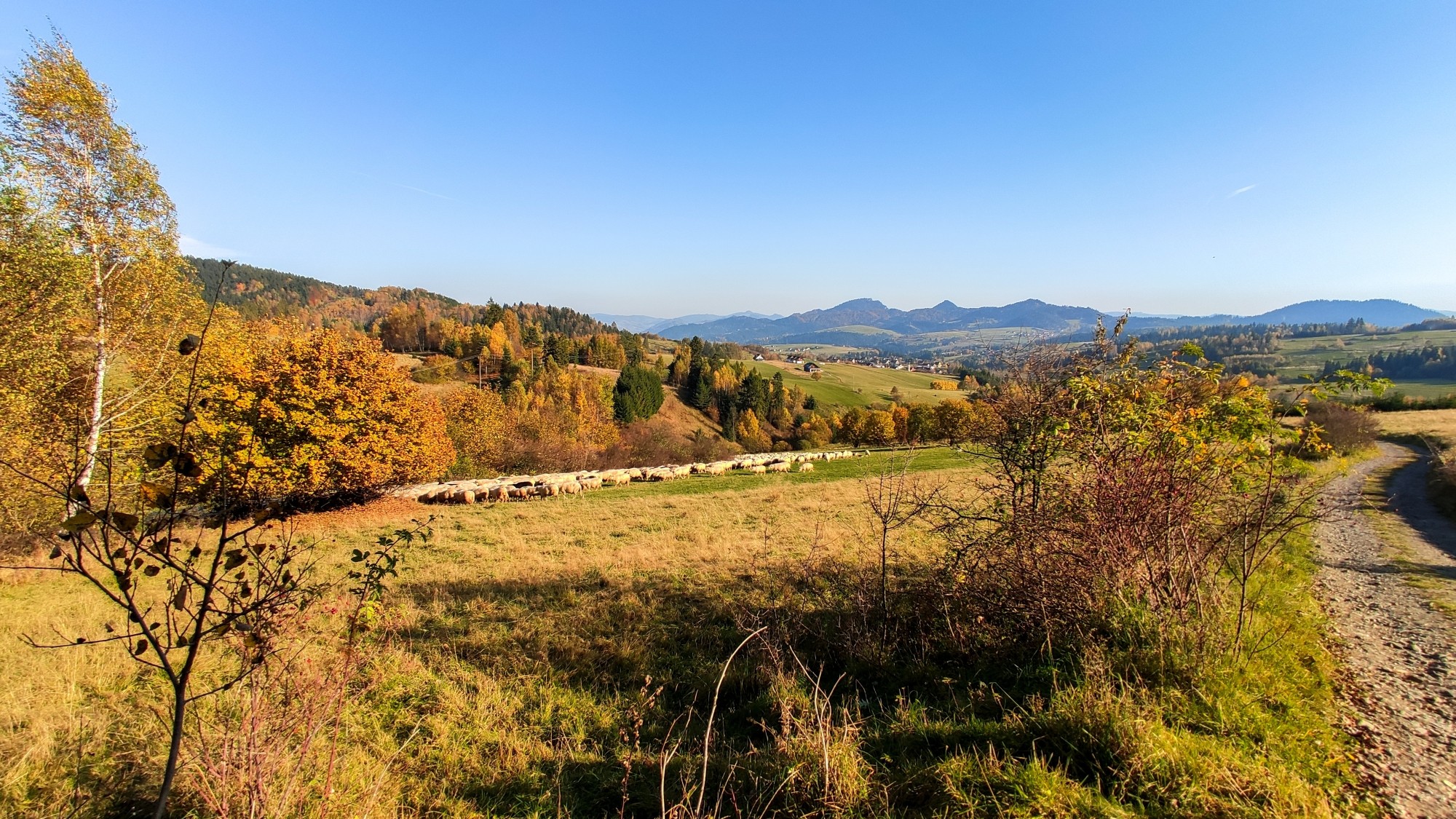 Październik w obiektywie - zdjęcie 67
