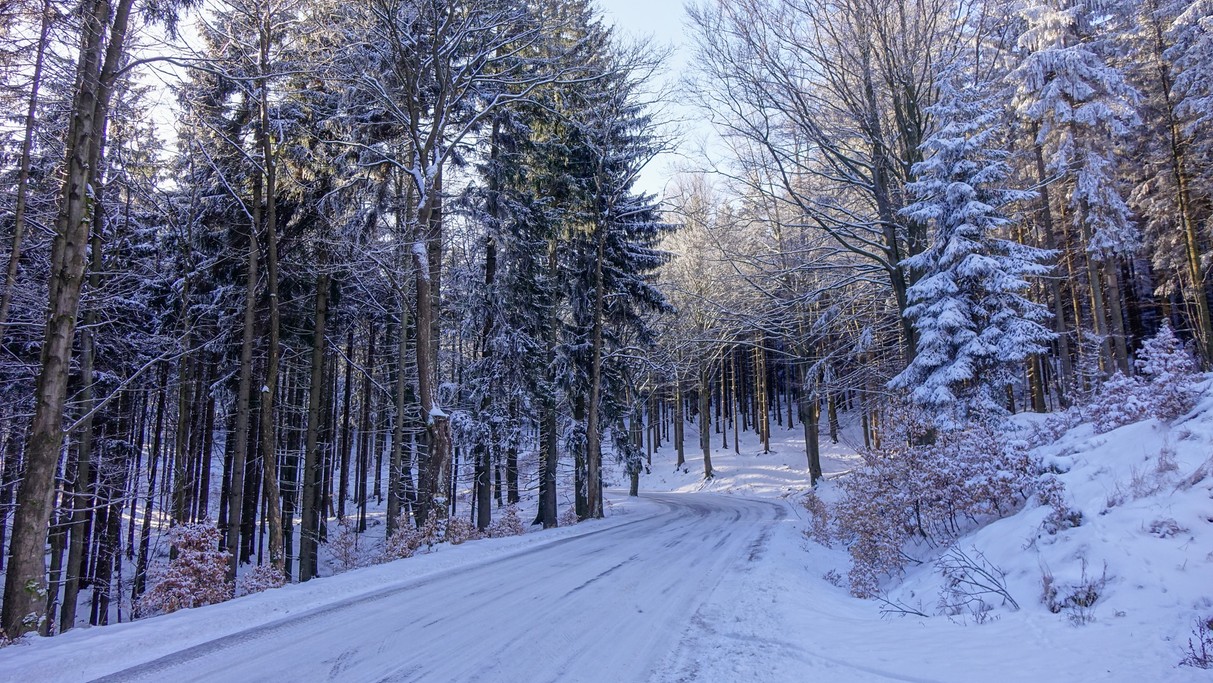 Luty w obiektywie - zdjęcie 33