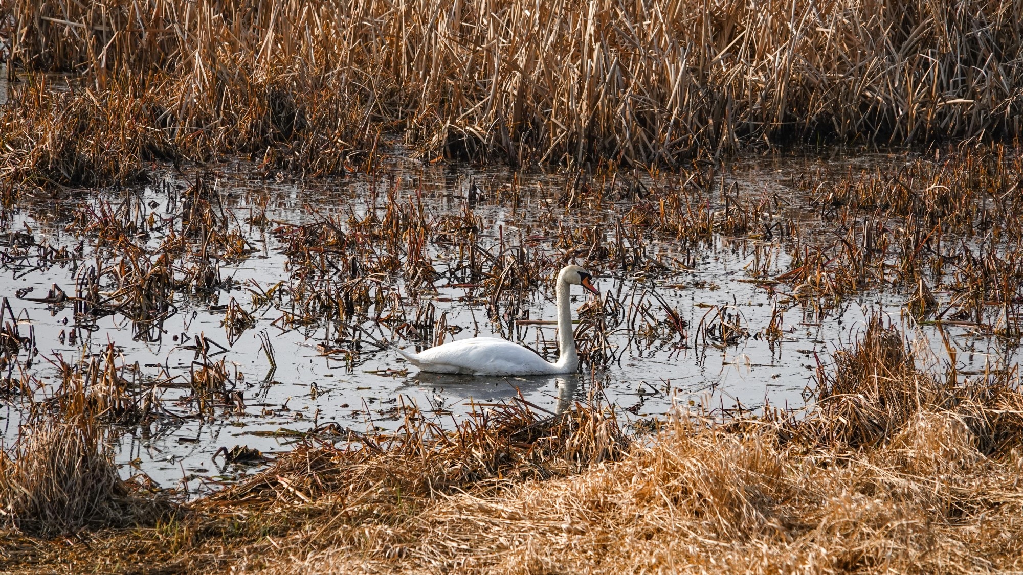 Wiosenna pobudka - zdjęcie 28