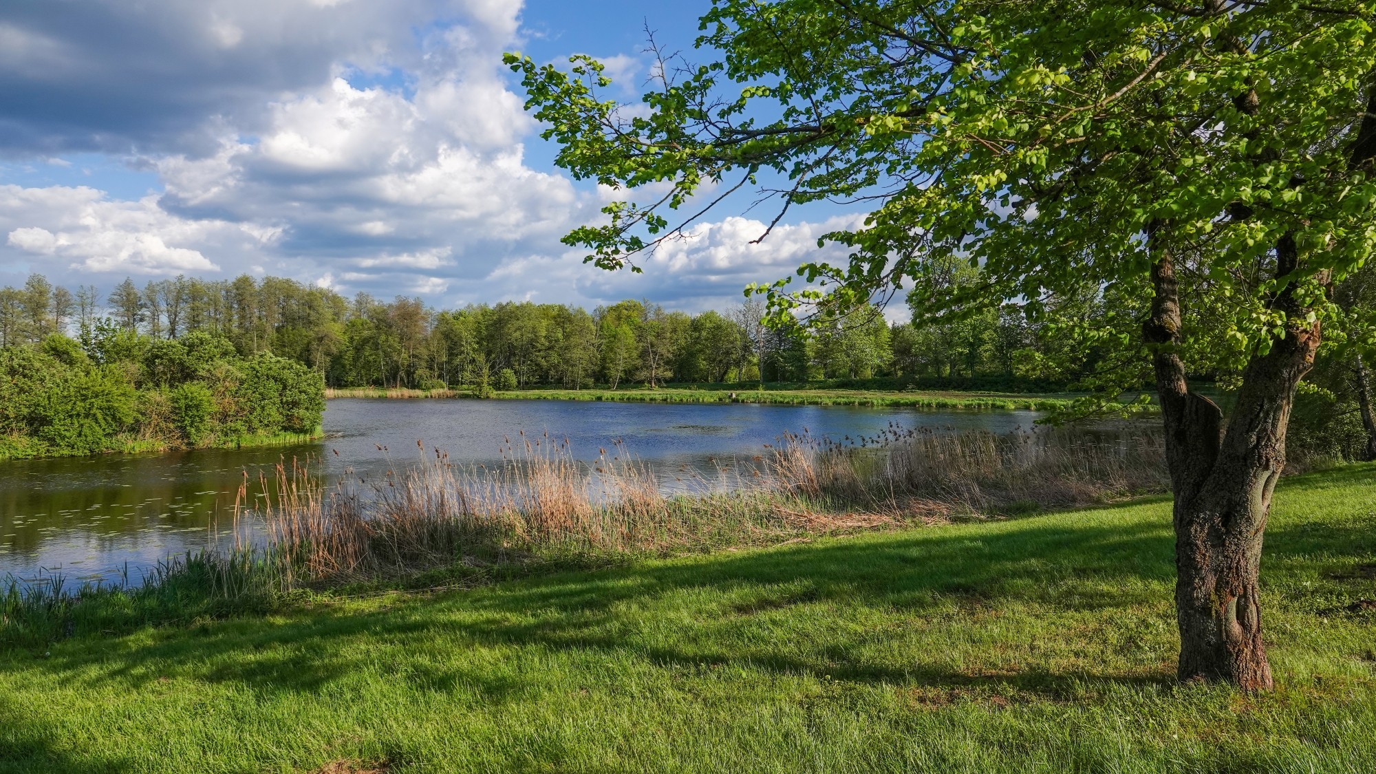 100 najpiękniejszych zdjęć 2021 roku - zdjęcie 14