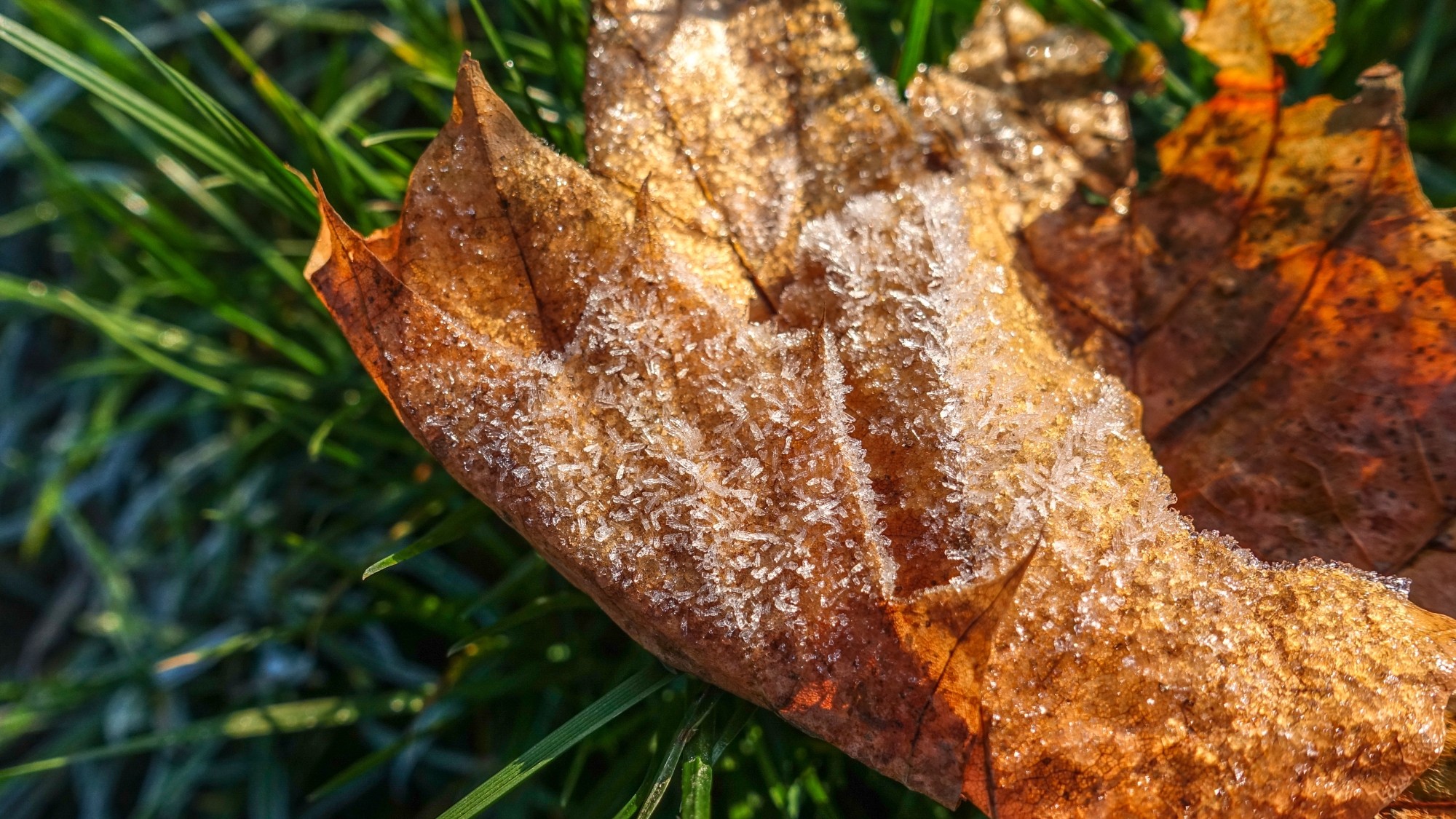 Szron pod lupą - zdjęcie 16