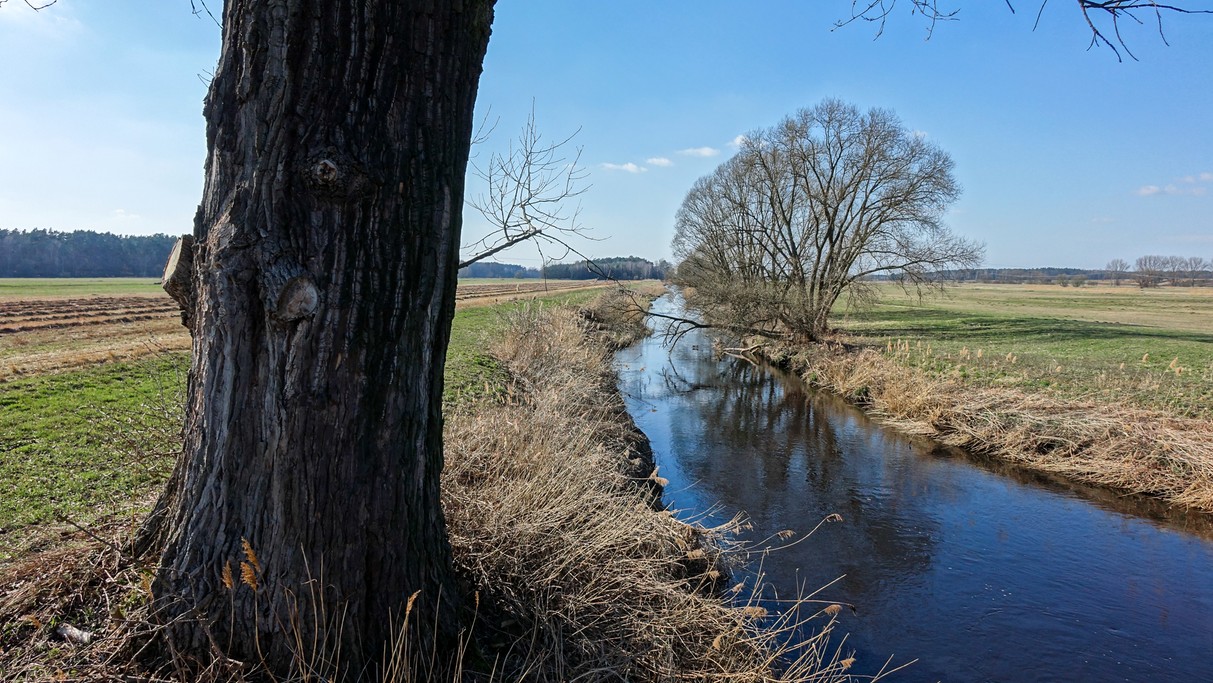 Marzec w obiektywie - zdjęcie 24