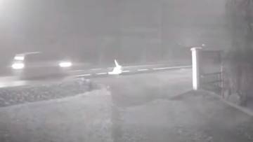 Nagranie z monitoringu nocą, na kt&oacute;rym widać potrąconą kobietę leżącą na drodze i odjeżdżający samoch&oacute;d.