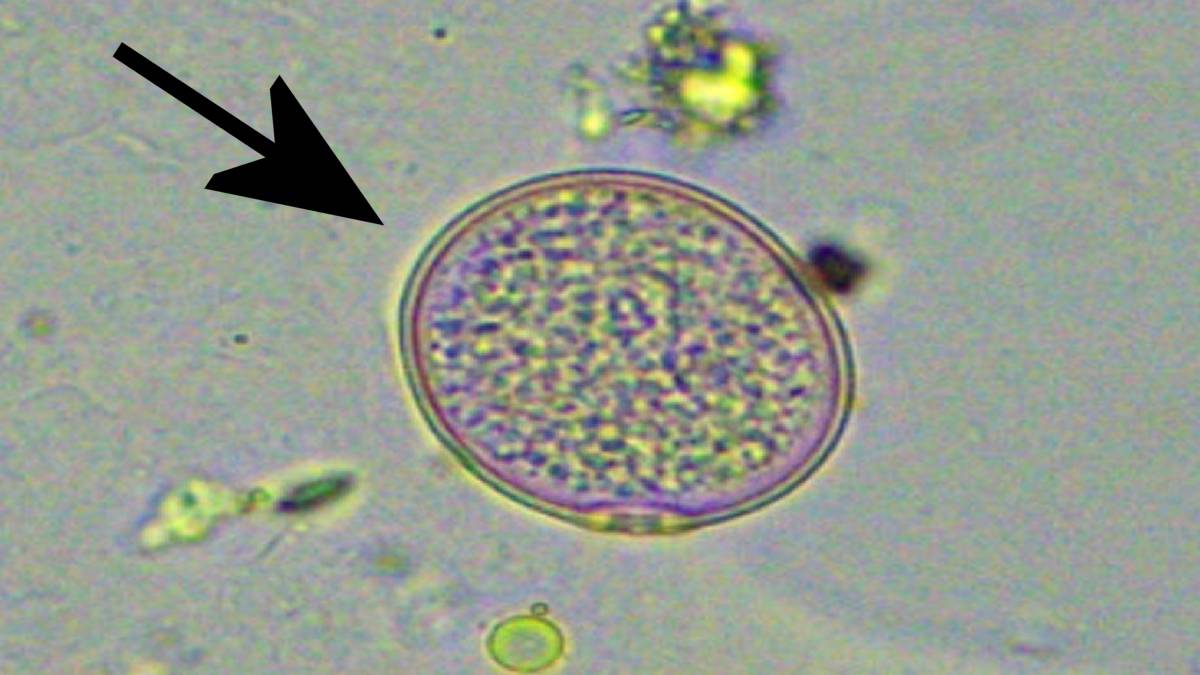 Detektor wykrył to nad Polską. Eksperci biją na alarm