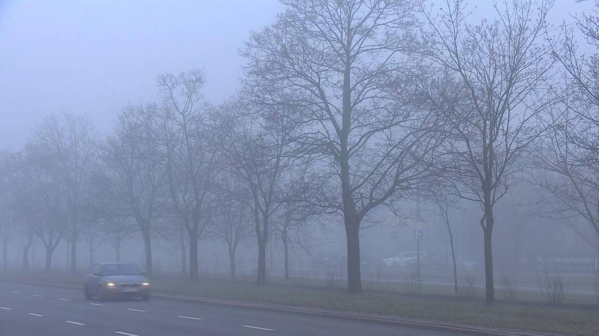 Jesień rozgościła się na dobre. Gęste mgły zasnują część kraju