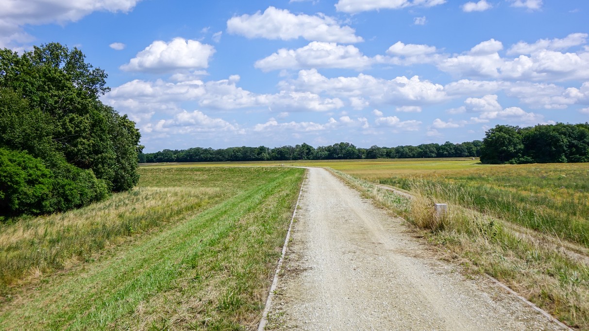 Lipiec w obiektywie - zdjęcie 34