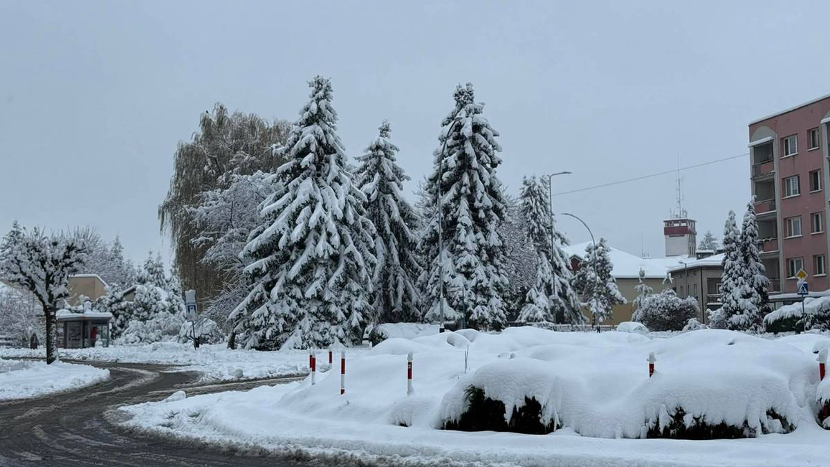 Śnieg sparaliżował Podkarpacie, tysiące gospodarstw pozbawionych prądu