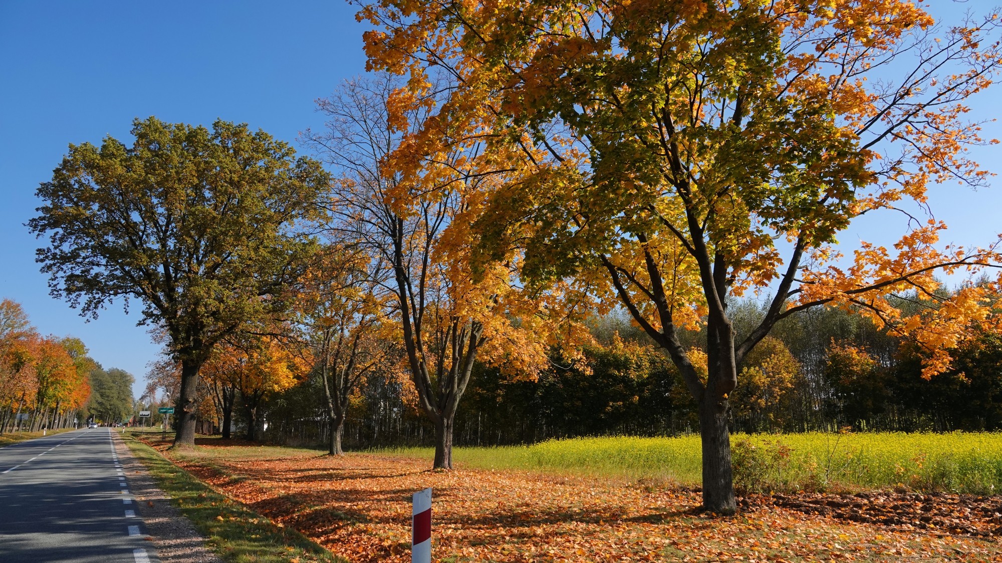 Jesienne klimaty - zdjęcie 48