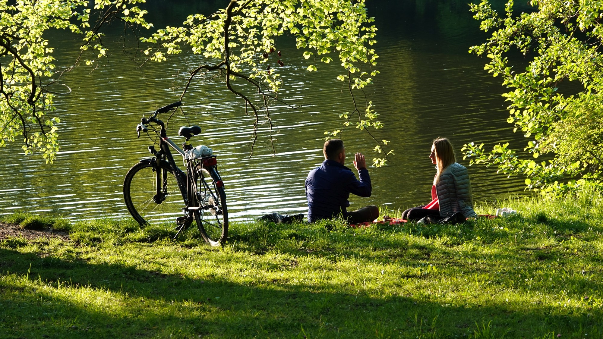 Uroki zielonej pory roku - zdjęcie 31